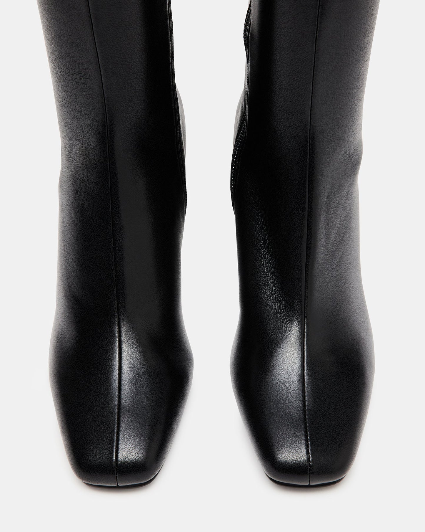 LFY TRAD Holly Black